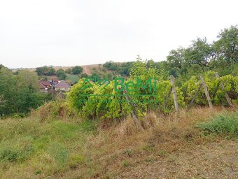Predaj stavebného pozemku - Hontianska Vrbica (023-14-HEKA) - 5