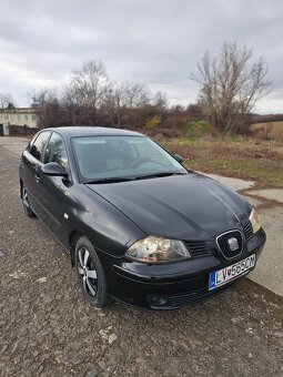 Seat ibiza - 5