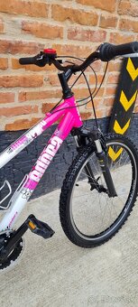 Bucykel Vedora 24" alu - 5