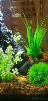 BiOrb CUBE čierne 35l - 5