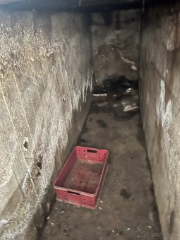 Garáž na prenajom / predaj - 5