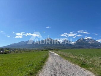 PREDAJ: Investičná príležitosť pozemok; Nová Lesná; 8044 m2 - 5