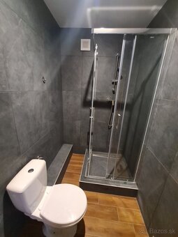 Prenajom 1 izbovy byt - 5