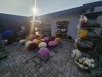 OBCHODNÝ PRIESTOR BERNOLÁKOVO - 5