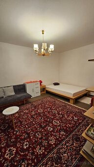 TOP PONUKA 1 izbovy Rub II - 5