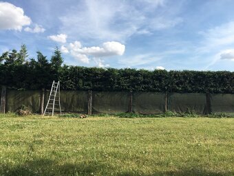 STRIHANIE a REZ STROMOV - 5