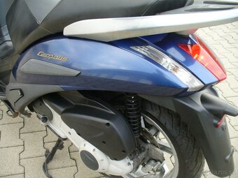 Peugeot Geopolis 250 i - 5