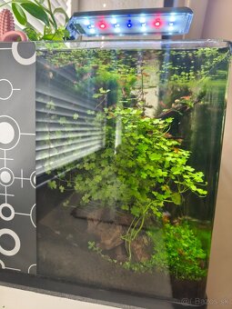 Akvárium 30l - Invital - 5