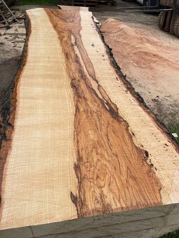 JASEŇOVÉ REZIVO OLIVE ASH / Očkové drevo / Live edge - 5