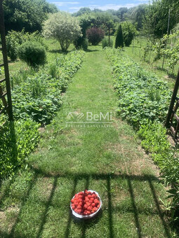 Pozemok 7 400 m² len 33 km od Košíc - 5