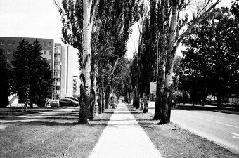 Olympus mju I + Ilford 400 - 5