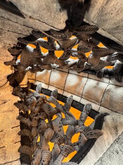 SET LAPAČKA  A VYRÁŽEČKA WARRIOR G3 - 5