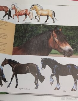 Kniha Moja prvá knižka o koňoch - 5
