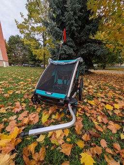 Thule chariot lite 2 - 5