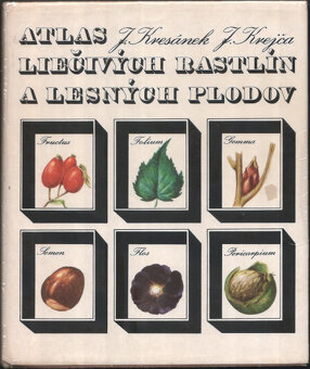 Fytoterapia a medicína - 5