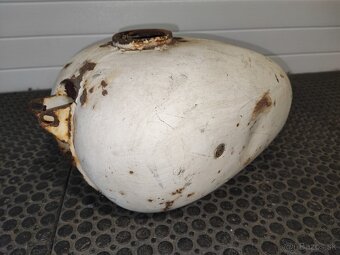 Jawa panelka,sport - 5