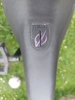 BMX Verde Theory - 5