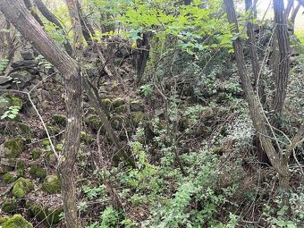 Pozemok s ruinami domu na samote - 5