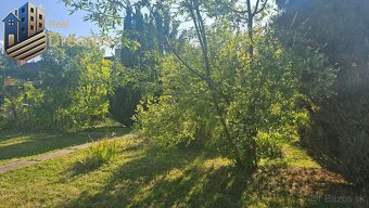 Na predaj útulná chata v obci Úľany nad Žitavou - 5