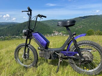 Babetta - 5
