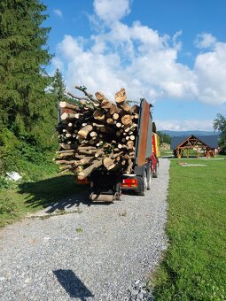 buková guľatina - vláknina, palivové drevo - 5