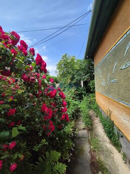 Starší rodinný dom s veľkým pozemkom neďaleko Šale na predaj - 5