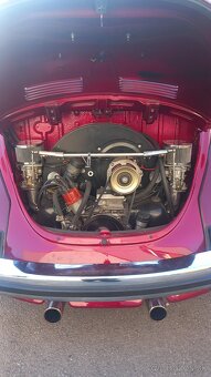 VW Chrobak - 5