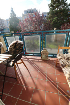 PRENÁJOM 3KK LUXUSNÉHO BYTU BULVÁR - 5