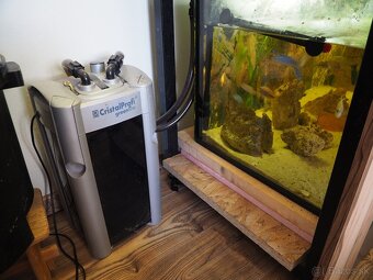 Predám akvárium s cichlidami - 5