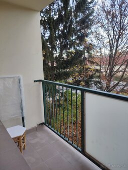 Pekná garsónka v centre mesta.Nice studio apartment in the c - 5