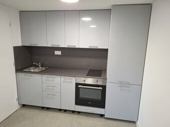 1 izb byt Zlaté piesky s pozemkom 250m2, klimatizácia, elekt - 5
