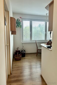 RFReality veľký 1 izb. byt blízko centra - Horná ulica - 5