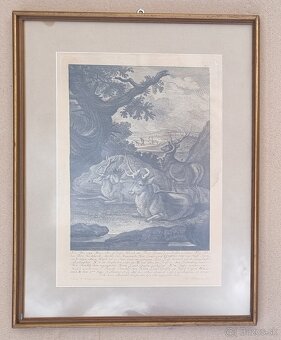 Johan Elias Ridinger medirytina z roku 1740 - 5