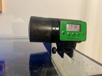 200 litrové akvárium + komplet zariadené s rybickami - 5