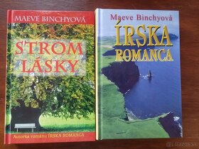 Willetová ; Coddington; Kraftová ; Vasilková; Andrews .... - 5