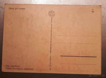 Slovenský štat-Hlinkova mládež--3 kusy pohladníc. - 5