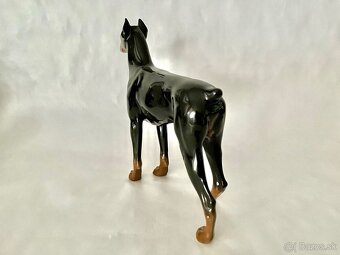 Porcelanovy pes - doberman Rosenthal - 5