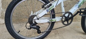 Detsky Bicykel Harry Hero 20 - 5