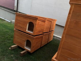 Psia búda - 5