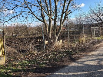 Záhrada vhodná ako stavebný pozemok - 5