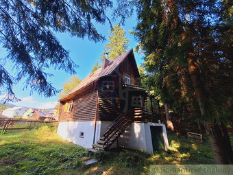 Útulná chata v tichom lesíku pri obci Olešná - 5