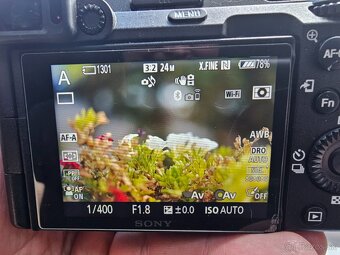 Sony fe 50mm F1.8 - 5