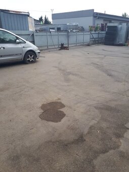 Nemecký ovčiak - 5