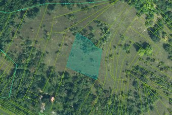 Veľký Blh - 503 m2 PÔDA a LESY – PREDAJ - 5