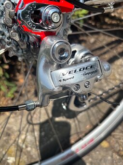 colnago - 5