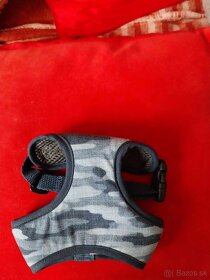 Oblecenie po yorkshirovi - 5