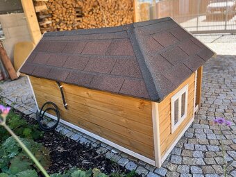 Búda pre psa - 5