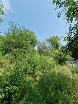 Údržba zelene a čistenie pozemkov - 5