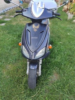 Beneli velvet 125 - 5