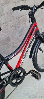 Bicykel Harry 20" - 5